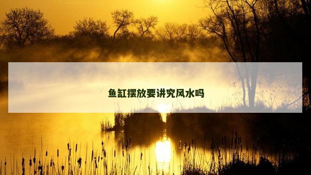 鱼缸摆放要讲究风水吗