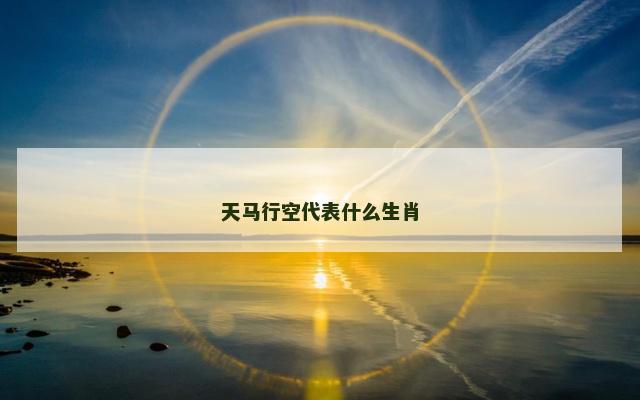 天马行空代表什么生肖
