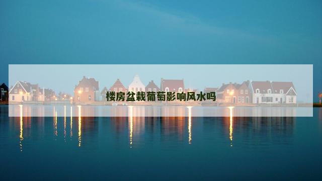 楼房盆栽葡萄影响风水吗