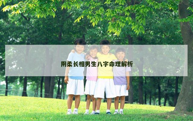 阴柔长相男生八字命理解析