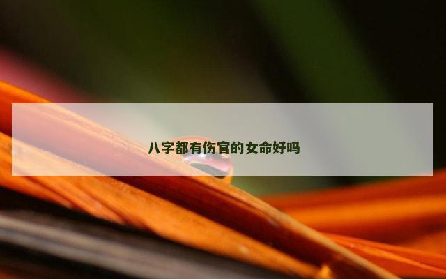 八字都有伤官的女命好吗