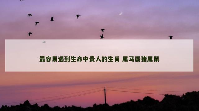 最容易遇到生命中贵人的生肖 属马属猪属鼠