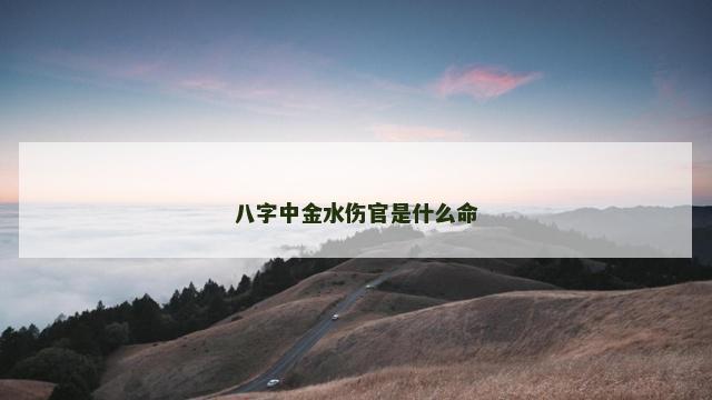 八字中金水伤官是什么命