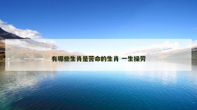 有哪些生肖是苦命的生肖 一生操劳
