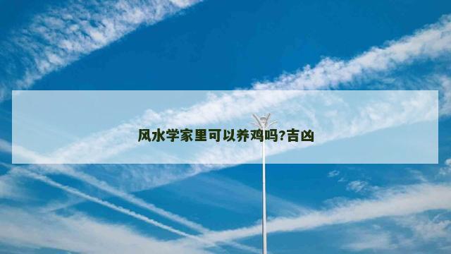 风水学家里可以养鸡吗?吉凶