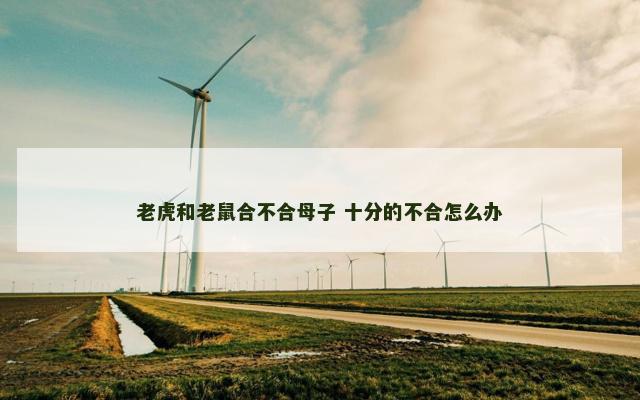 老虎和老鼠合不合母子 十分的不合怎么办