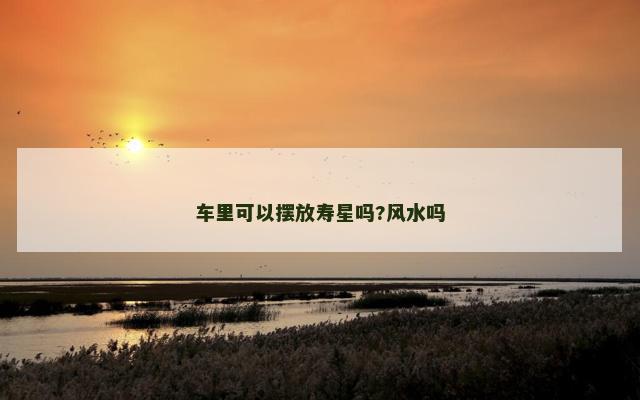 车里可以摆放寿星吗?风水吗