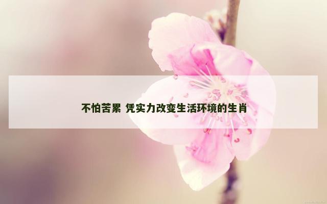 不怕苦累 凭实力改变生活环境的生肖