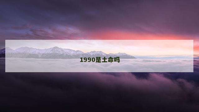 1990是土命吗