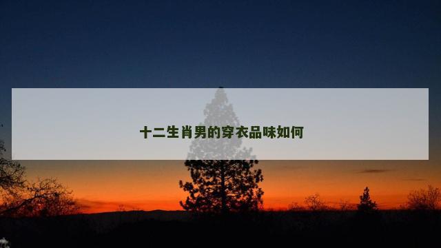 十二生肖男的穿衣品味如何