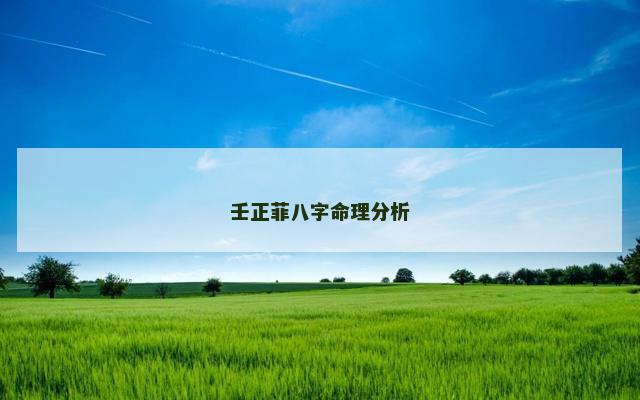 壬正菲八字命理分析