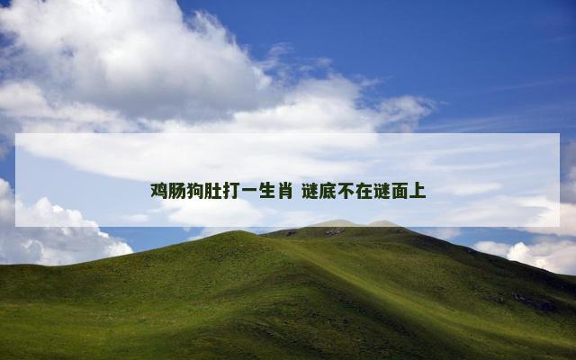 鸡肠狗肚打一生肖 谜底不在谜面上
