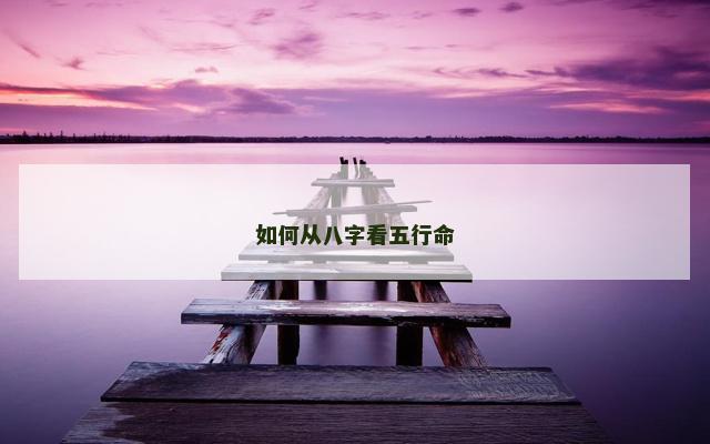 如何从八字看五行命