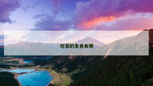 吃荤的生肖有哪