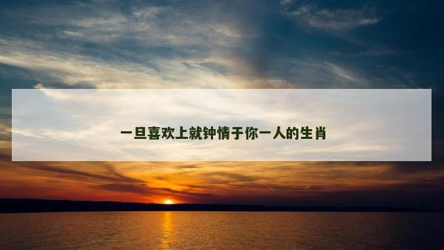 一旦喜欢上就钟情于你一人的生肖