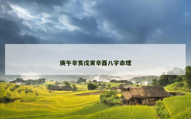 庚午辛亥戊寅辛酉八字命理
