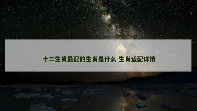 十二生肖最配的生肖是什么 生肖适配详情