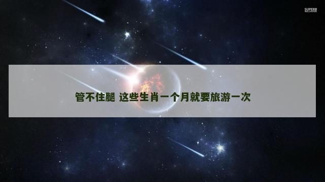 管不住腿 这些生肖一个月就要旅游一次