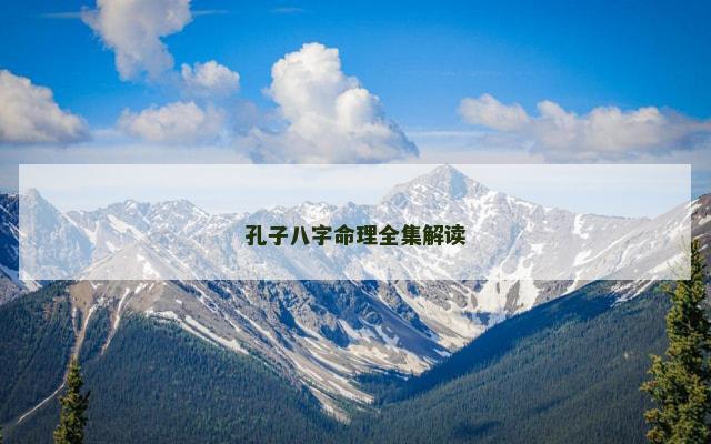 孔子八字命理全集解读