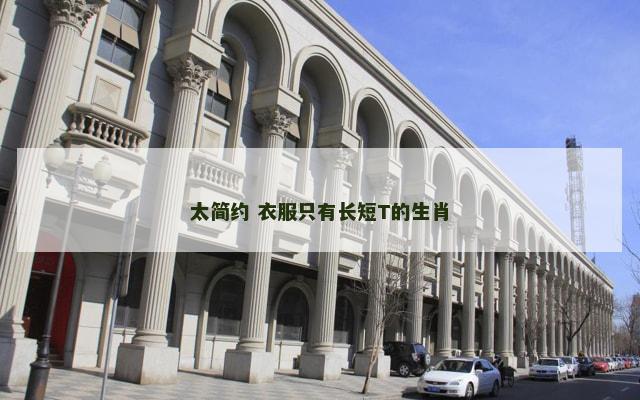 太简约 衣服只有长短T的生肖