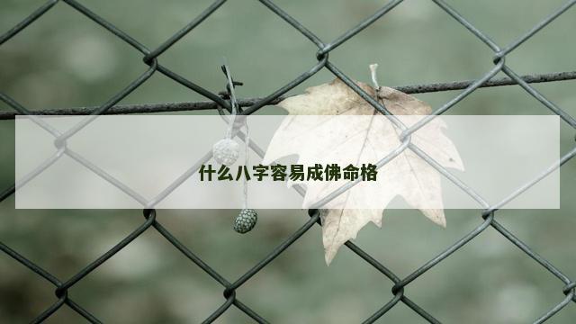 什么八字容易成佛命格