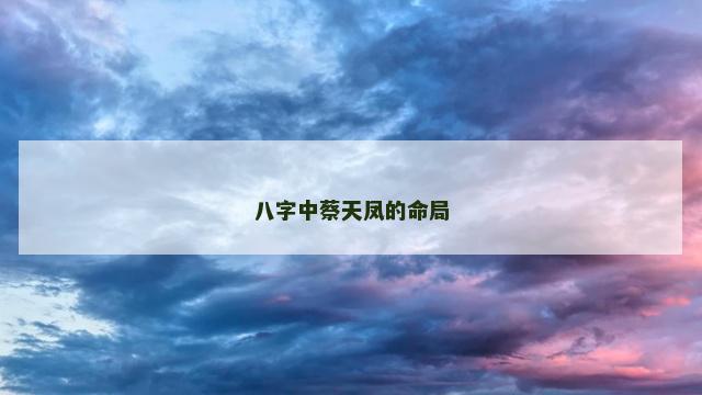 八字中蔡天凤的命局