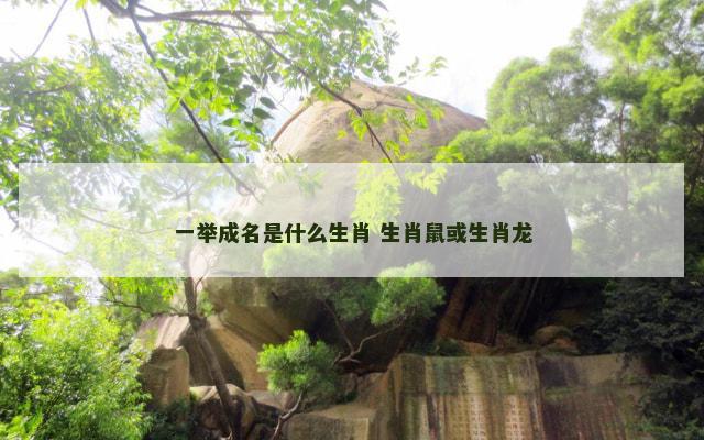 一举成名是什么生肖 生肖鼠或生肖龙
