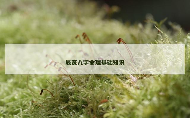 辰亥八字命理基础知识