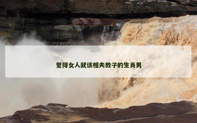觉得女人就该相夫教子的生肖男