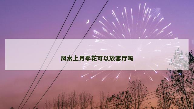 风水上月季花可以放客厅吗