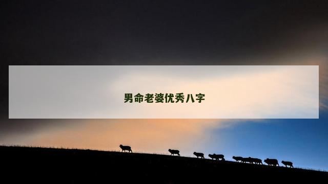 男命老婆优秀八字