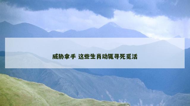 威胁拿手 这些生肖动辄寻死觅活
