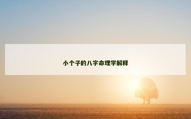 小个子的八字命理学解释
