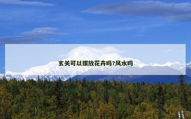 玄关可以摆放花卉吗?风水吗