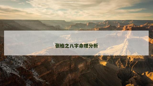 张柏之八字命理分析