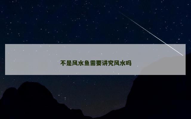 不是风水鱼需要讲究风水吗