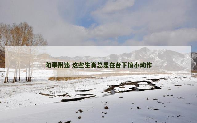 阳奉阴违 这些生肖总是在台下搞小动作