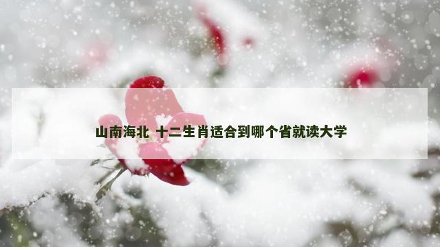 山南海北 十二生肖适合到哪个省就读大学