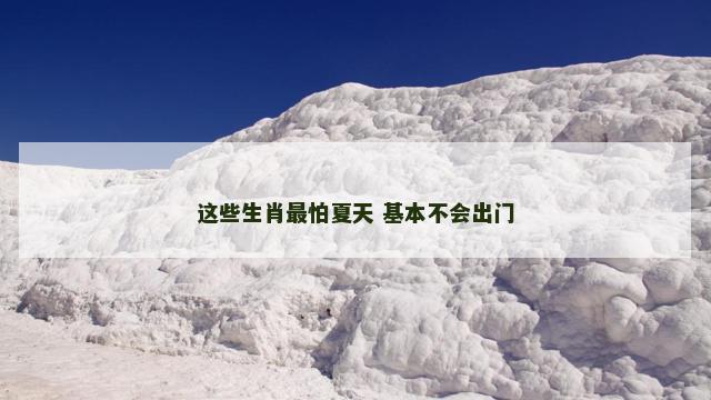 这些生肖最怕夏天 基本不会出门