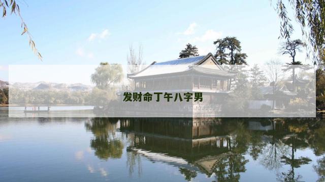 发财命丁午八字男