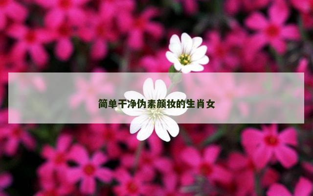 简单干净伪素颜妆的生肖女