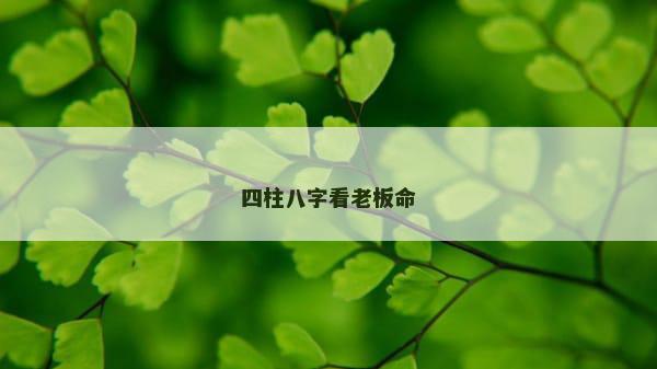四柱八字看老板命