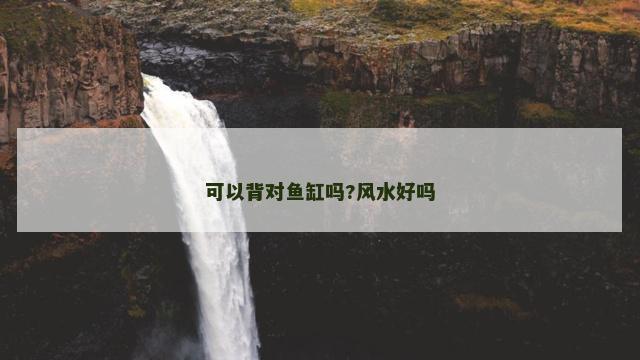可以背对鱼缸吗?风水好吗