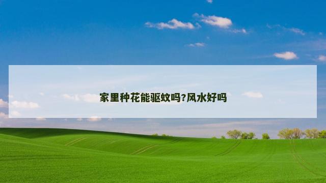 家里种花能驱蚊吗?风水好吗