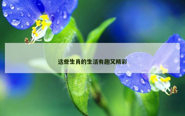 这些生肖的生活有趣又精彩