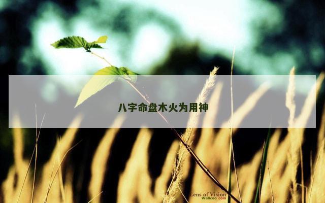 八字命盘木火为用神