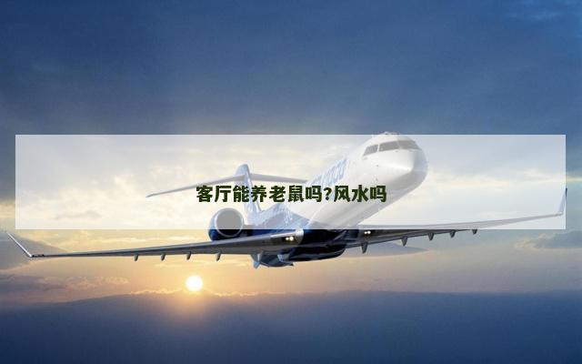 客厅能养老鼠吗?风水吗