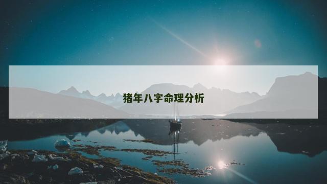猪年八字命理分析
