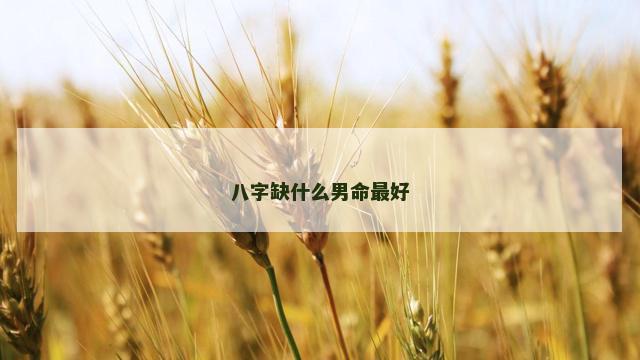 八字缺什么男命最好