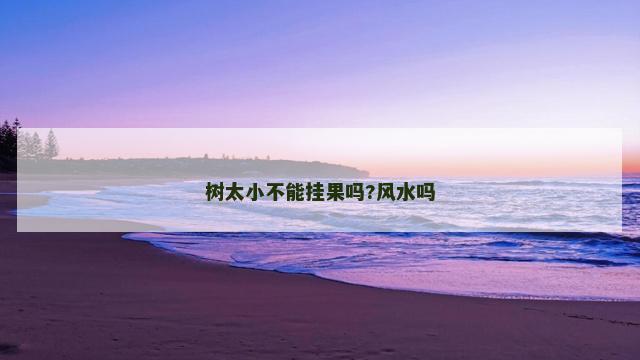 树太小不能挂果吗?风水吗